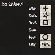 DI Shadow - What Does Your Soul Look Like