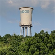 Dixie Cup Water Tower