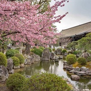 Pond in Rengeoin Sanjusangendo Temple Garden, Kyoto