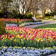 Cheekwood Botanical Gardens, Tennessee