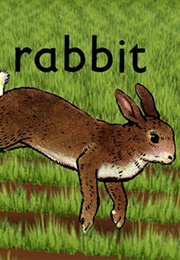 Rabbit (2005)