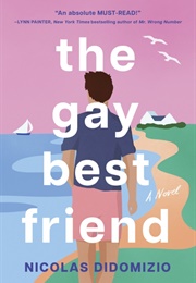The Gay Best Friend (Nicolas Didomizio)