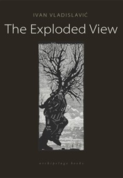 The Exploded View (Ivan Vladislavić)