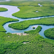 Amazon Forest and Amazon River, South America