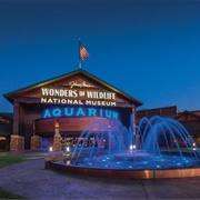 Wonders of Wildlife Museum