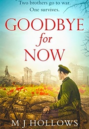 Goodbye for Now (M.J. Hollows)