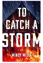To Catch a Storm (Mindy Mejia)