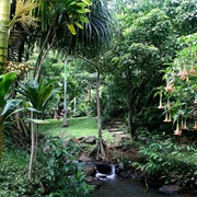 Princeville Botanical Gardens, Hawaii