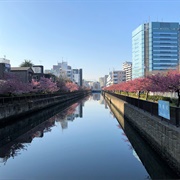 Oyoko Canal, Tokyo