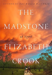 The Madstone (Elizabeth Crook)