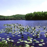 Adams Lake Prairie State Nature Preserve