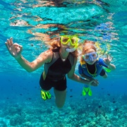 Go Snorkeling off Shell Island (Florida)