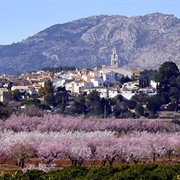 Jalon Valley, Spain