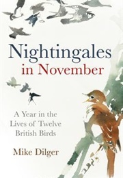 Nightingales in November (Mike Dilger)