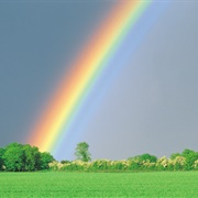 See a Rainbow