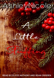 A Little Stuffing (Ashley Nicole)