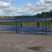 Viborgbroen