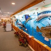 Destin Fish Museum