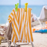 Beach Towel Clips