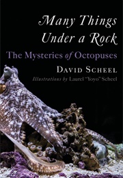 Many Things Under a Rock (David Scheel)