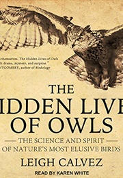 The Hidden Lives of Owls (Leigh Calvez)