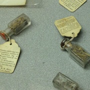 Donner Party Artifacts
