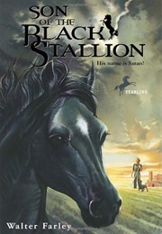 Son of the Black Stallion (Walter Farley)