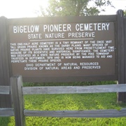 Bigelow Cemetery Prairie State Nature Preserve