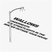 Underneath the Streetlights in the Winter Outside Your House by Wallows