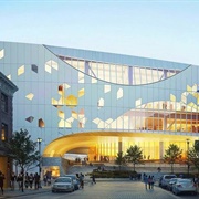 The New Central Library