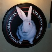 The Bunny Museum Altadena, CA, USA