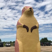 Giant Prairie Dog
