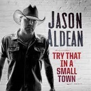 Try That in a Small Town - Jason Aldean