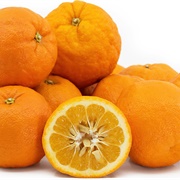 Tart Orange