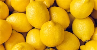 Lemon  Everything
