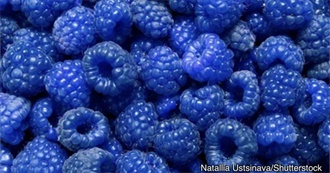 Blue Raspberry Flavoured