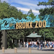 Bronx Zoo - New York City, NY