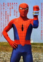 Spider-Man (1978-1979)