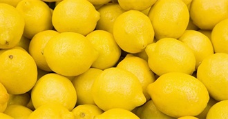Lemon Everything