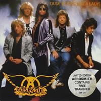 Dude Looks Like a Lady