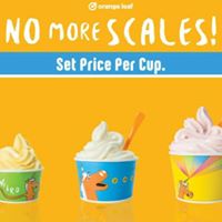 Orange Leaf Frozen Yogurt - Springfield