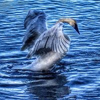 Future Leaders of the World (Official)