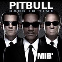 Pitbull - Back in Time