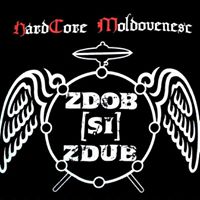 Zdob Si Zdub