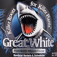 Great White