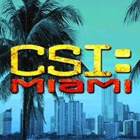 C.S.I Miami