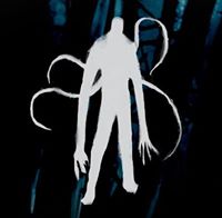 Slender: The Arrival