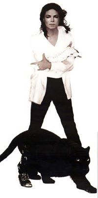 Michael Jackson - Black or White