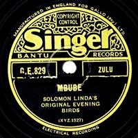 The Lion Sleeps Tonight