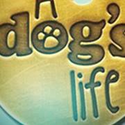 A Dogs Life